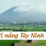 S-Việt Nam - Vị nắng Tây Ninh