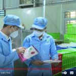 Bánh tráng Tân Nhiên – Sản phẩm OCOP 4 sao của Tây Ninh
